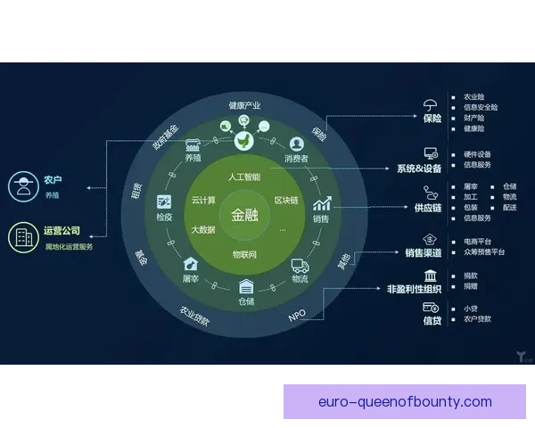 迈阿密世界杯球迷享透明区块链租车服务新体验